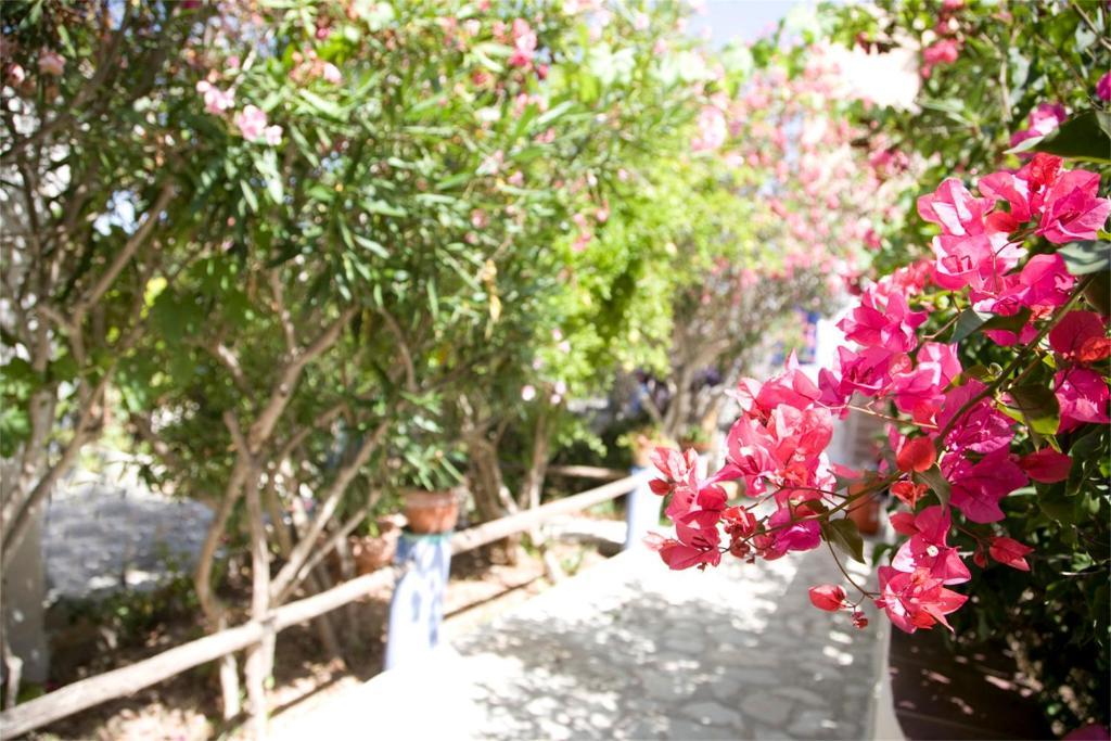 L'oasi Villaggio Hotel Favignana